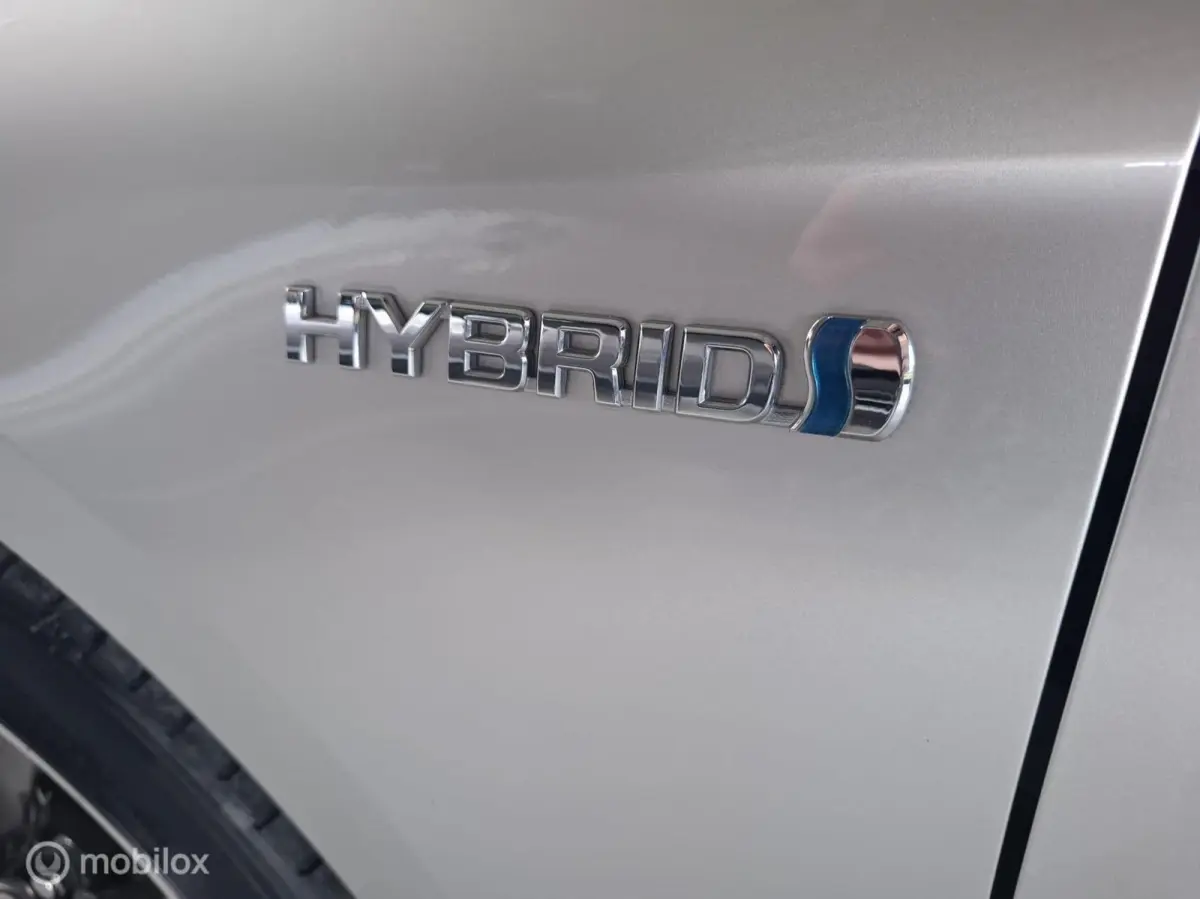 2.0 Hybrid Executive Premium | TREKHAAK - RIJKLAARPRIJS