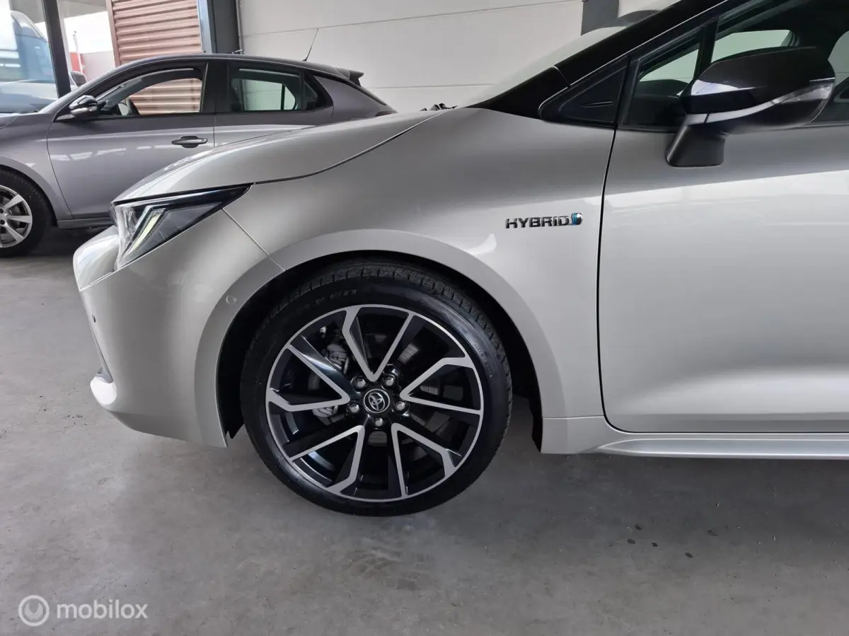 2.0 Hybrid Executive Premium | TREKHAAK - RIJKLAARPRIJS