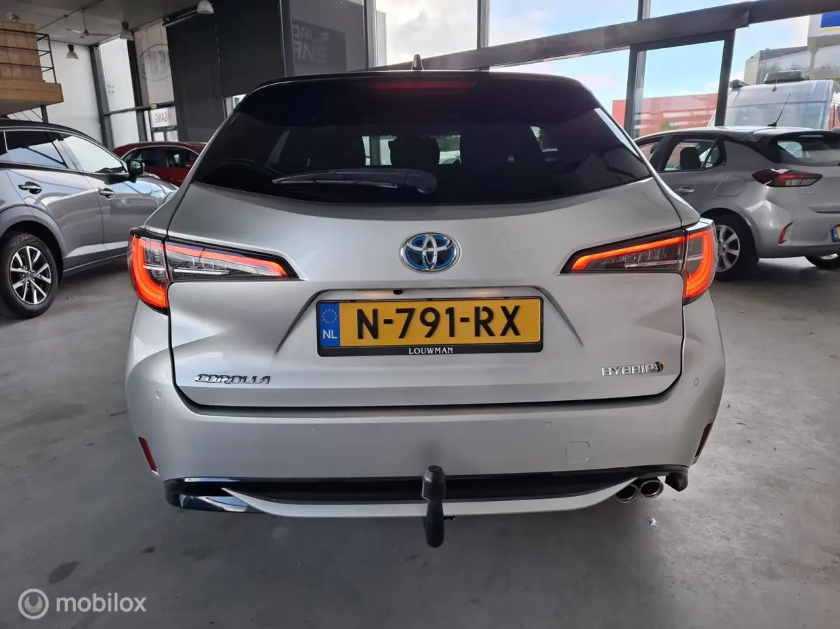 2.0 Hybrid Executive Premium | TREKHAAK - RIJKLAARPRIJS