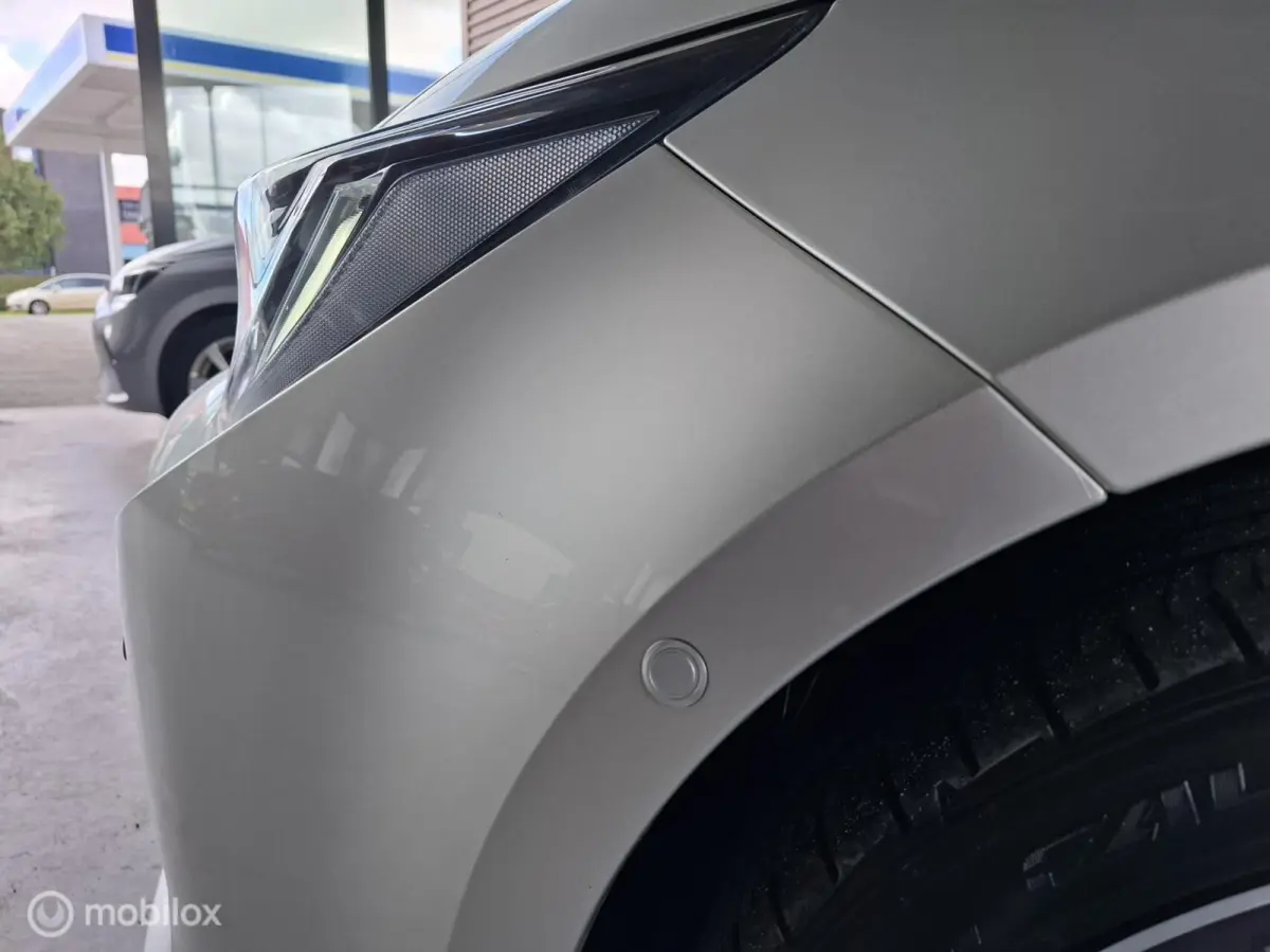2.0 Hybrid Executive Premium | TREKHAAK - RIJKLAARPRIJS
