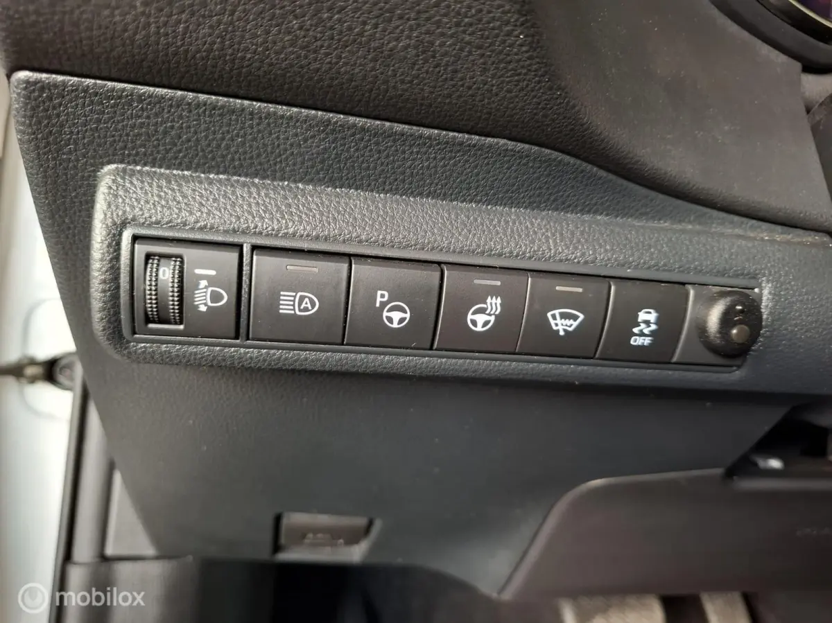 2.0 Hybrid Executive Premium | TREKHAAK - RIJKLAARPRIJS