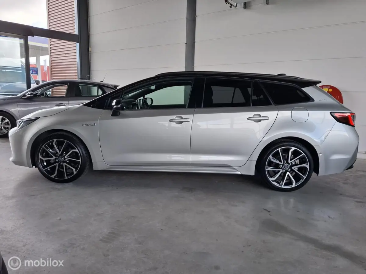 2.0 Hybrid Executive Premium | TREKHAAK - RIJKLAARPRIJS