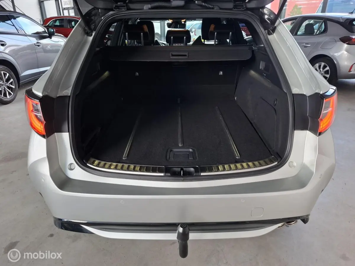 2.0 Hybrid Executive Premium | TREKHAAK - RIJKLAARPRIJS