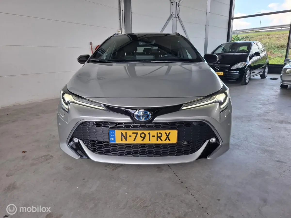 2.0 Hybrid Executive Premium | TREKHAAK - RIJKLAARPRIJS