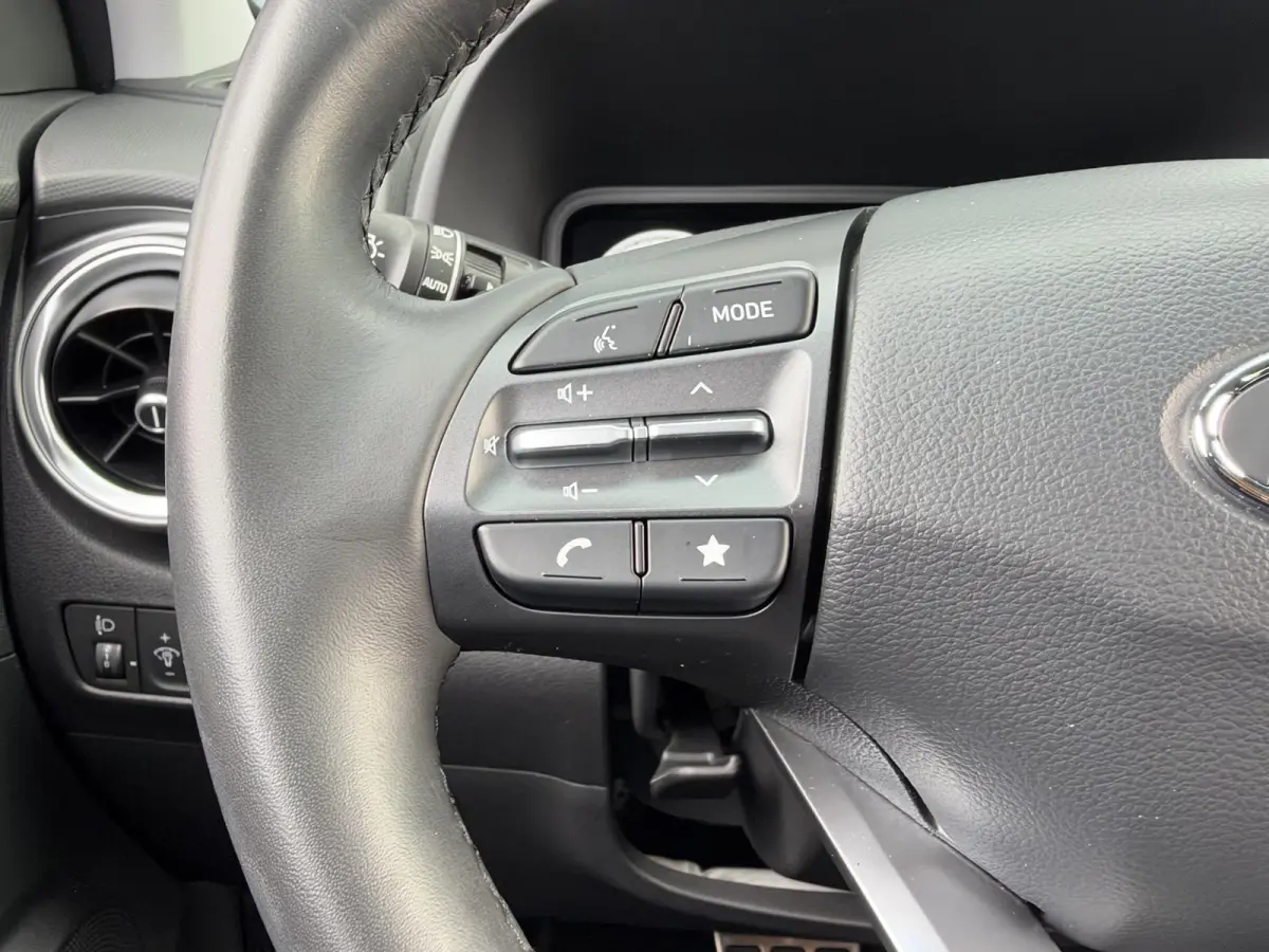 EV COMFORT 64 kWh (99% SOH) I AUTOMAAT I TREKHAAK I APPLE CARPLAY I P-CAMERA
