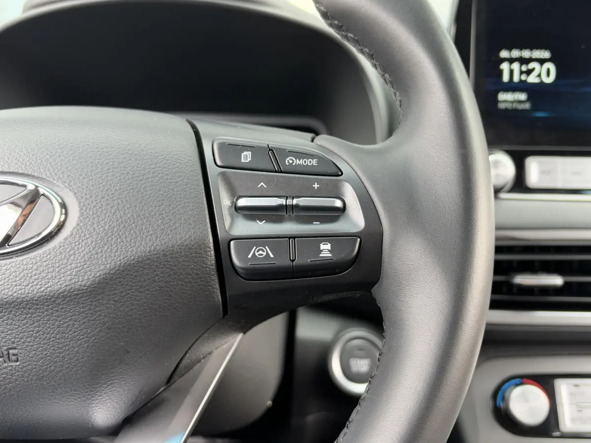 EV COMFORT 64 kWh (99% SOH) I AUTOMAAT I TREKHAAK I APPLE CARPLAY I P-CAMERA