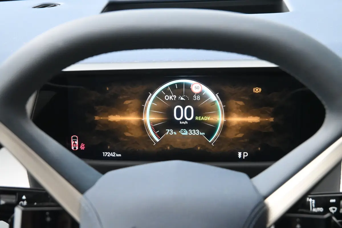 Pallas 74 kWh | Vol-Leder | Panoramadak | Adaptive Cruise | Climate Control | 360 Camera | !!