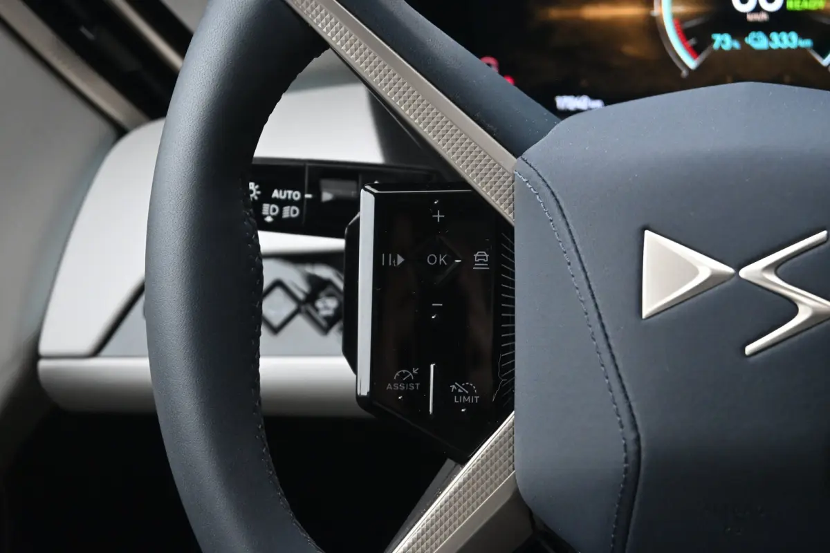 Pallas 74 kWh | Vol-Leder | Panoramadak | Adaptive Cruise | Climate Control | 360 Camera | !!
