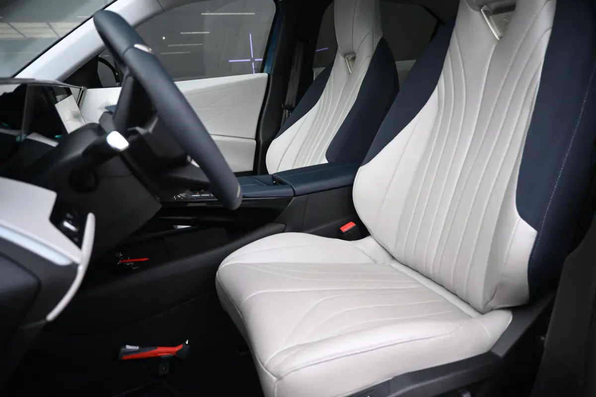 Pallas 74 kWh | Vol-Leder | Panoramadak | Adaptive Cruise | Climate Control | 360 Camera | !!