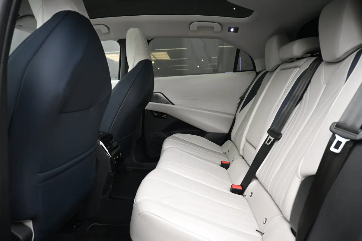 Pallas 74 kWh | Vol-Leder | Panoramadak | Adaptive Cruise | Climate Control | 360 Camera | !!