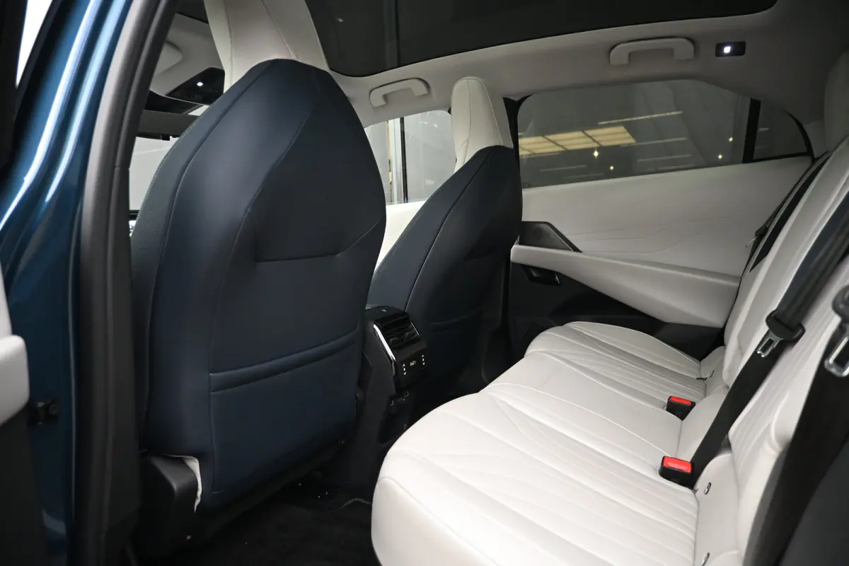 Pallas 74 kWh | Vol-Leder | Panoramadak | Adaptive Cruise | Climate Control | 360 Camera | !!
