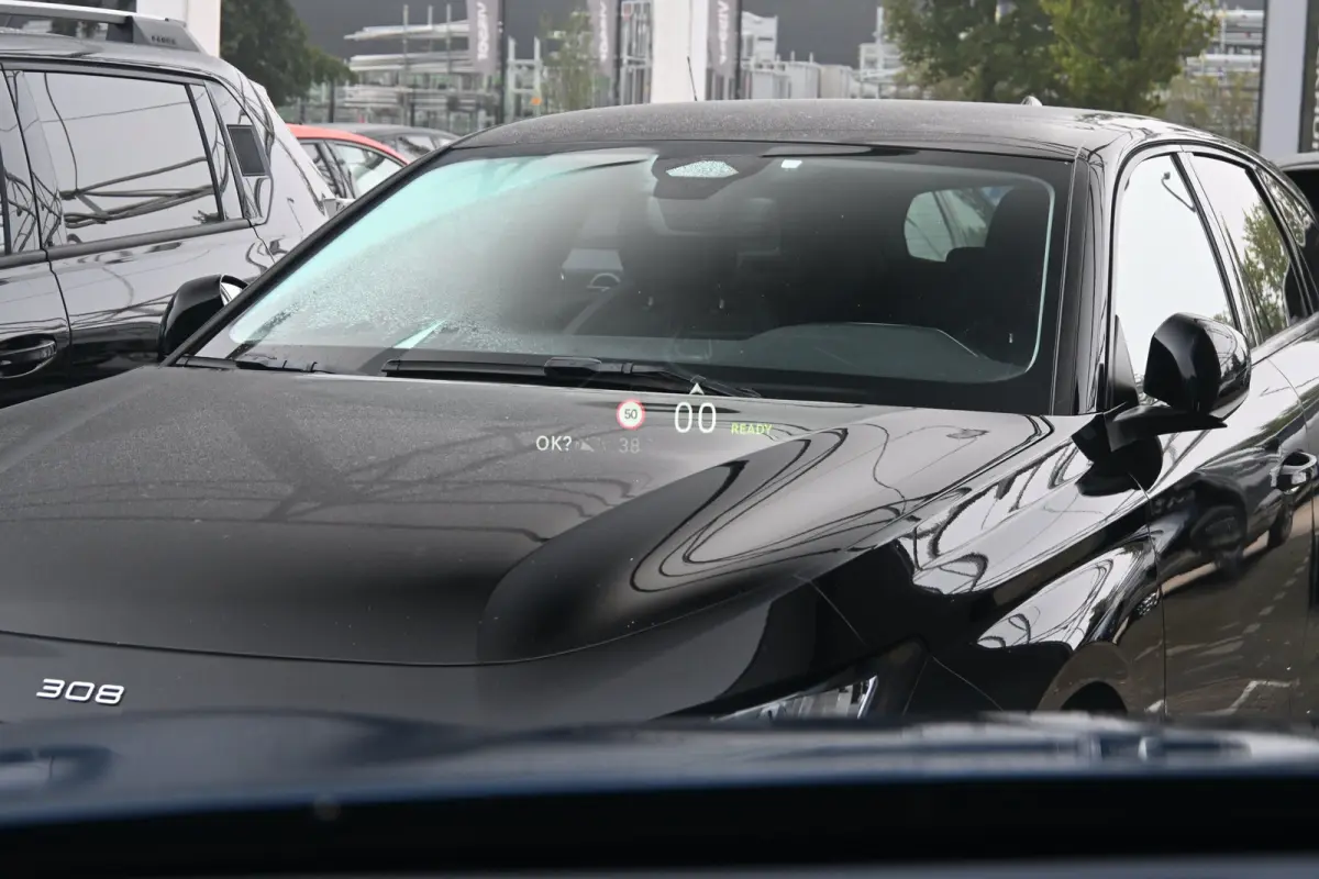 Pallas 74 kWh | Vol-Leder | Panoramadak | Adaptive Cruise | Climate Control | 360 Camera | !!