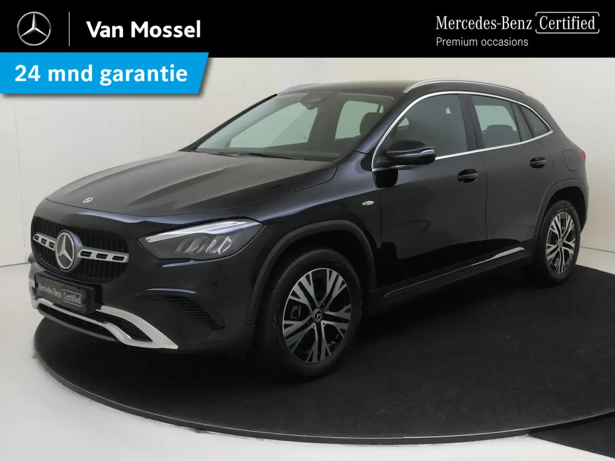 250 e Business Solution Luxury / Winterpakket / Achteruitrijcamera /