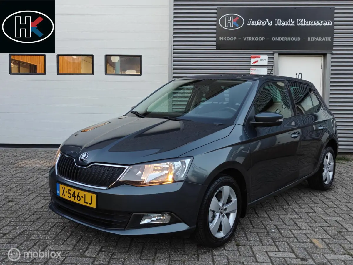 Hatchback 1.2TSi 110pk DSG-7 AUTOMAAT JOY LM PDC