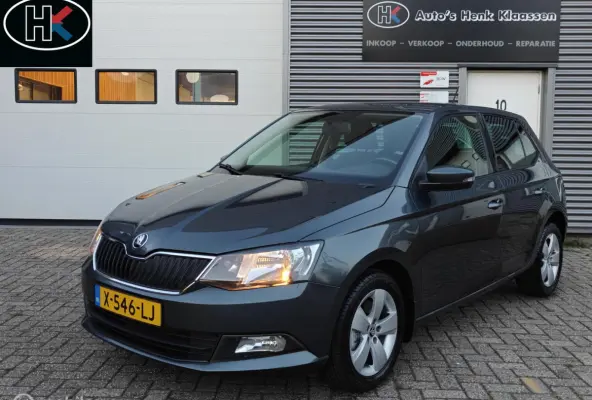 Hatchback 1.2TSi 110pk DSG-7 AUTOMAAT JOY LM PDC