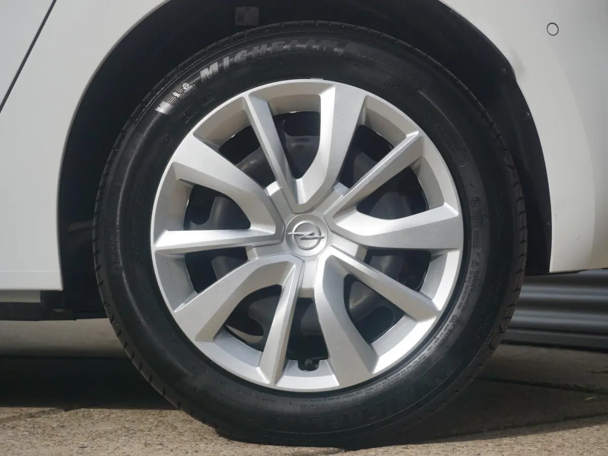 Electric Long Range Business Edition 51 kWh | Warmtepomp | Soh 98% |