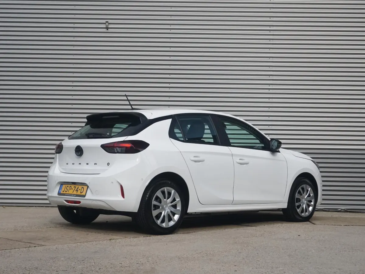 Electric Long Range Business Edition 51 kWh | Warmtepomp | Soh 98% |