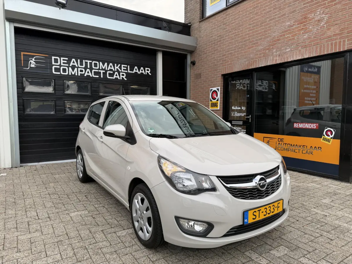 1.0 ecoFLEX Edition | 67.368 KM | AIRCO | CRUISE | LMV | MOOIE KLEUR |