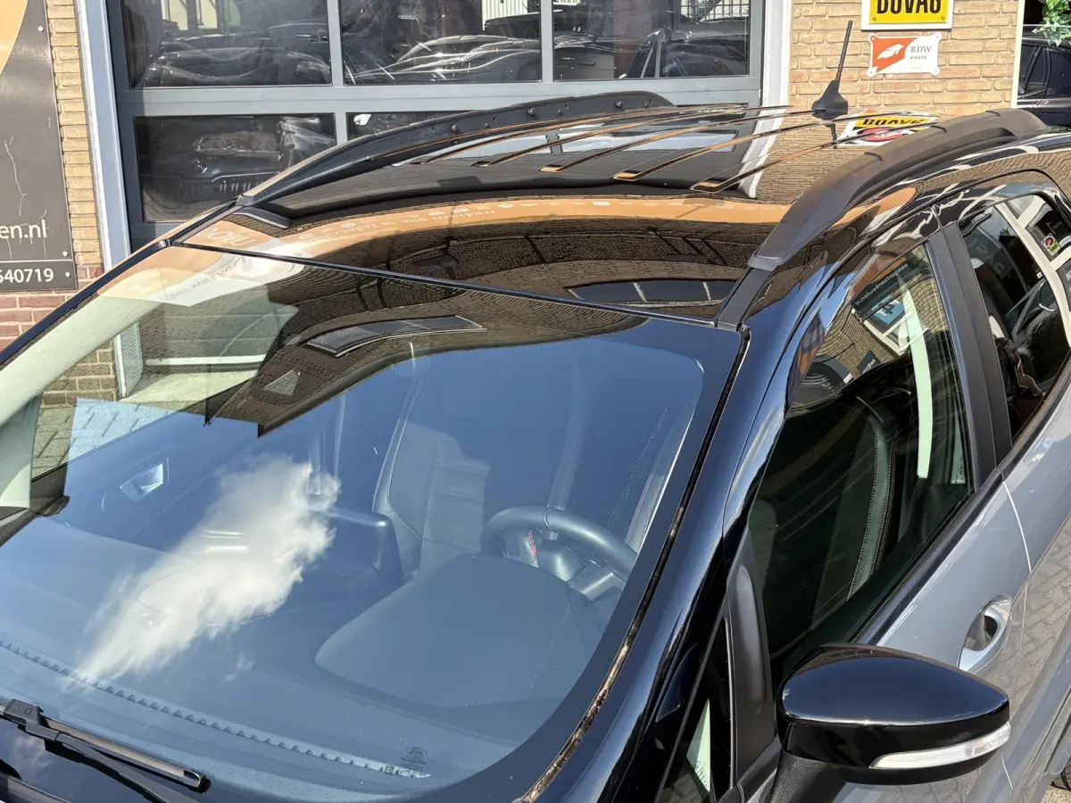 1.0 EcoBoost 125pk ST-Line X WINTERPACK/CARPLAY/NL-AUTO/1E EIG.