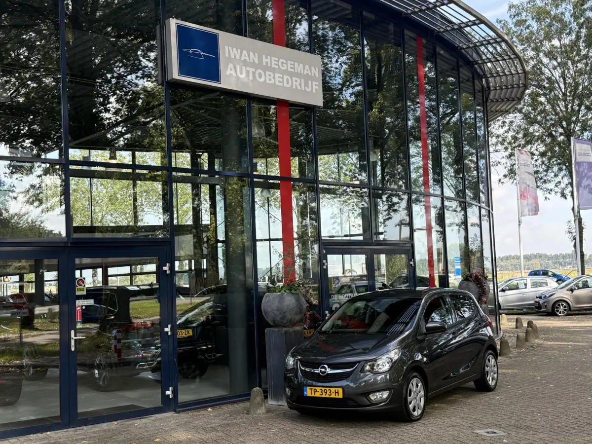 1.0 ecoFLEX Edition | Airconditioning | Parkeersensoren | Cruise Control | Electr. ramen