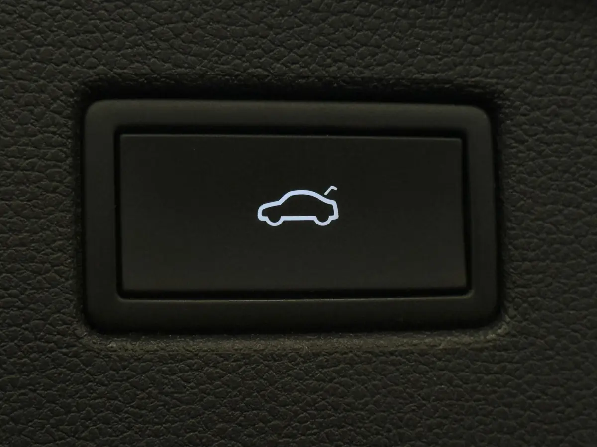 1.4 TSI eHybrid R-Line Business+ Pano Leder Keyless Memory Sfeer