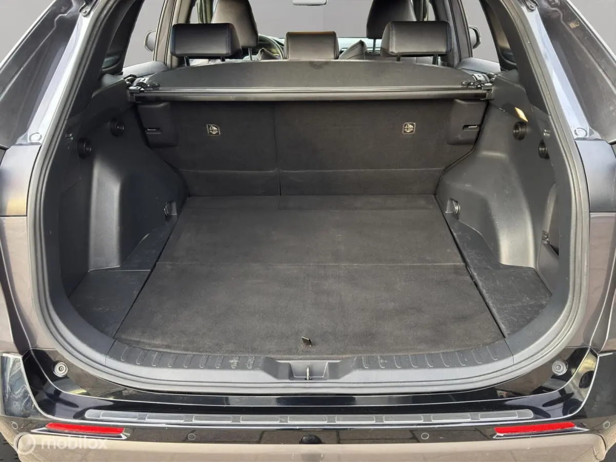 2.5 Hybrid Executive