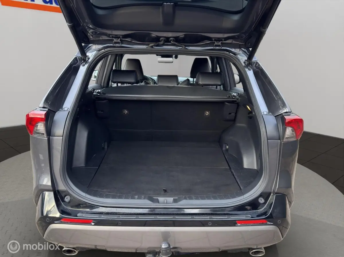 2.5 Hybrid Executive