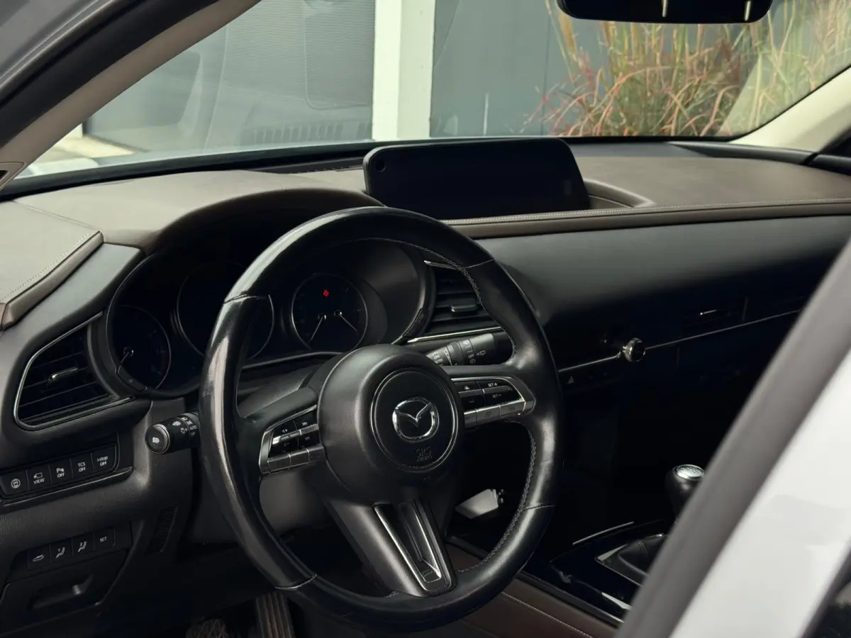 2.0 e-SkyActiv-X M Hybrid Luxury M20 NAVI|LEDER|360 CAMERA|LED
