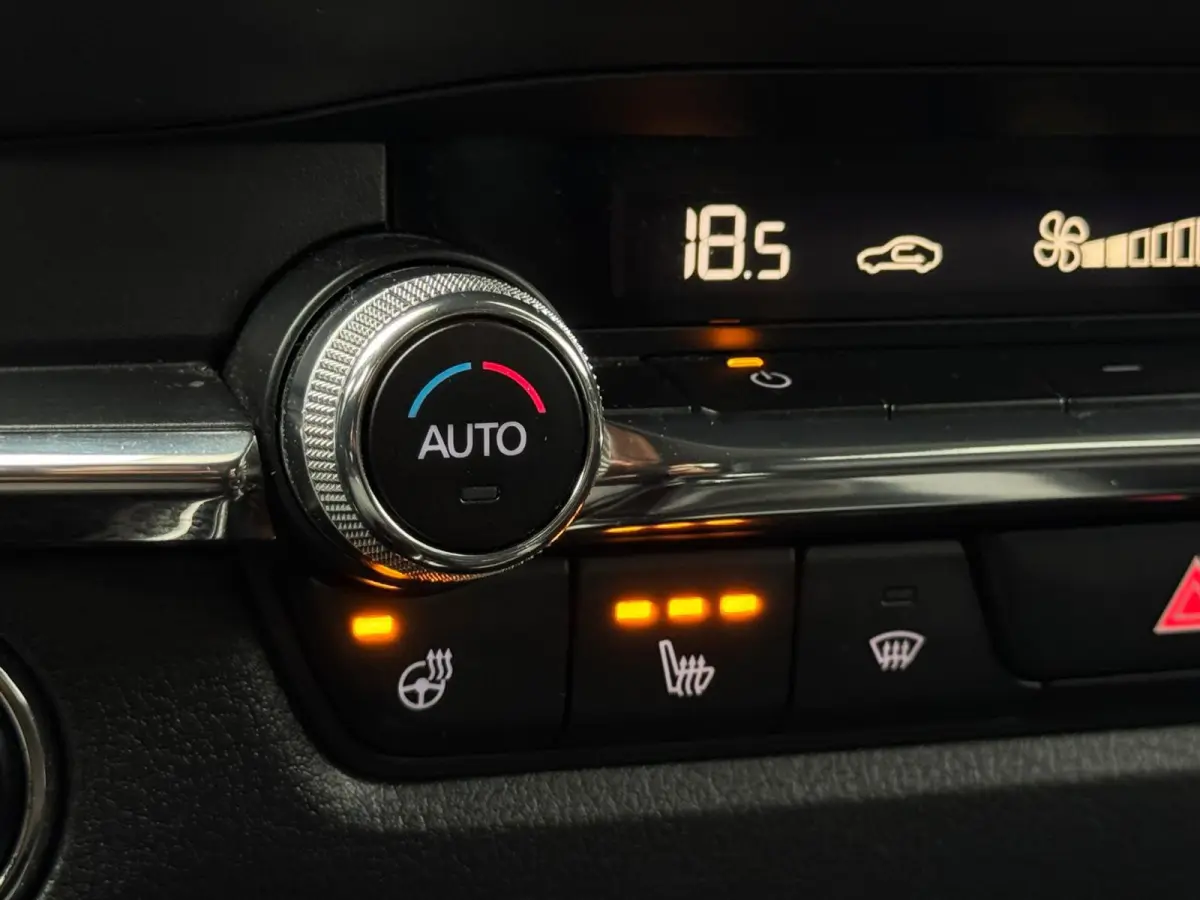 2.0 e-SkyActiv-X M Hybrid Luxury M20 NAVI|LEDER|360 CAMERA|LED