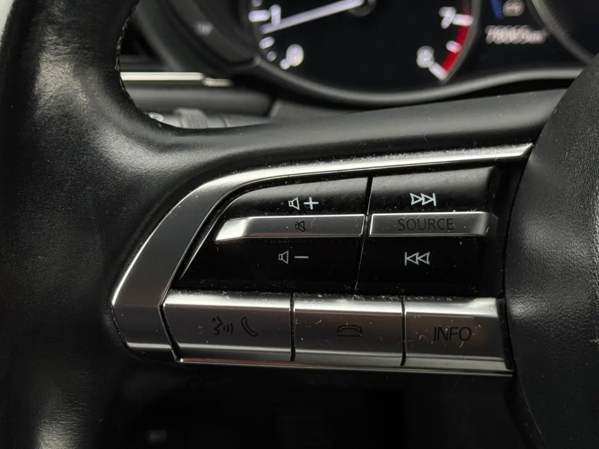 2.0 e-SkyActiv-X M Hybrid Luxury M20 NAVI|LEDER|360 CAMERA|LED