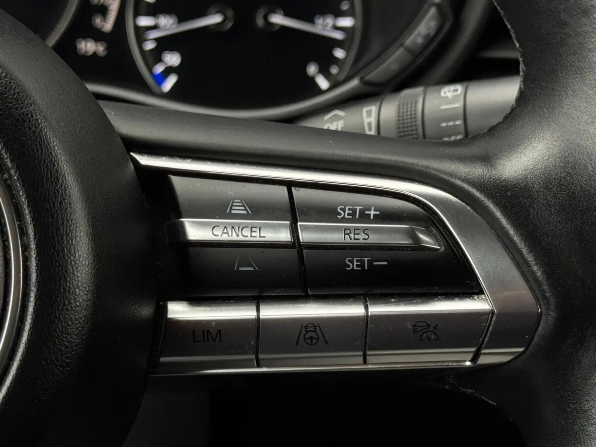 2.0 e-SkyActiv-X M Hybrid Luxury M20 NAVI|LEDER|360 CAMERA|LED