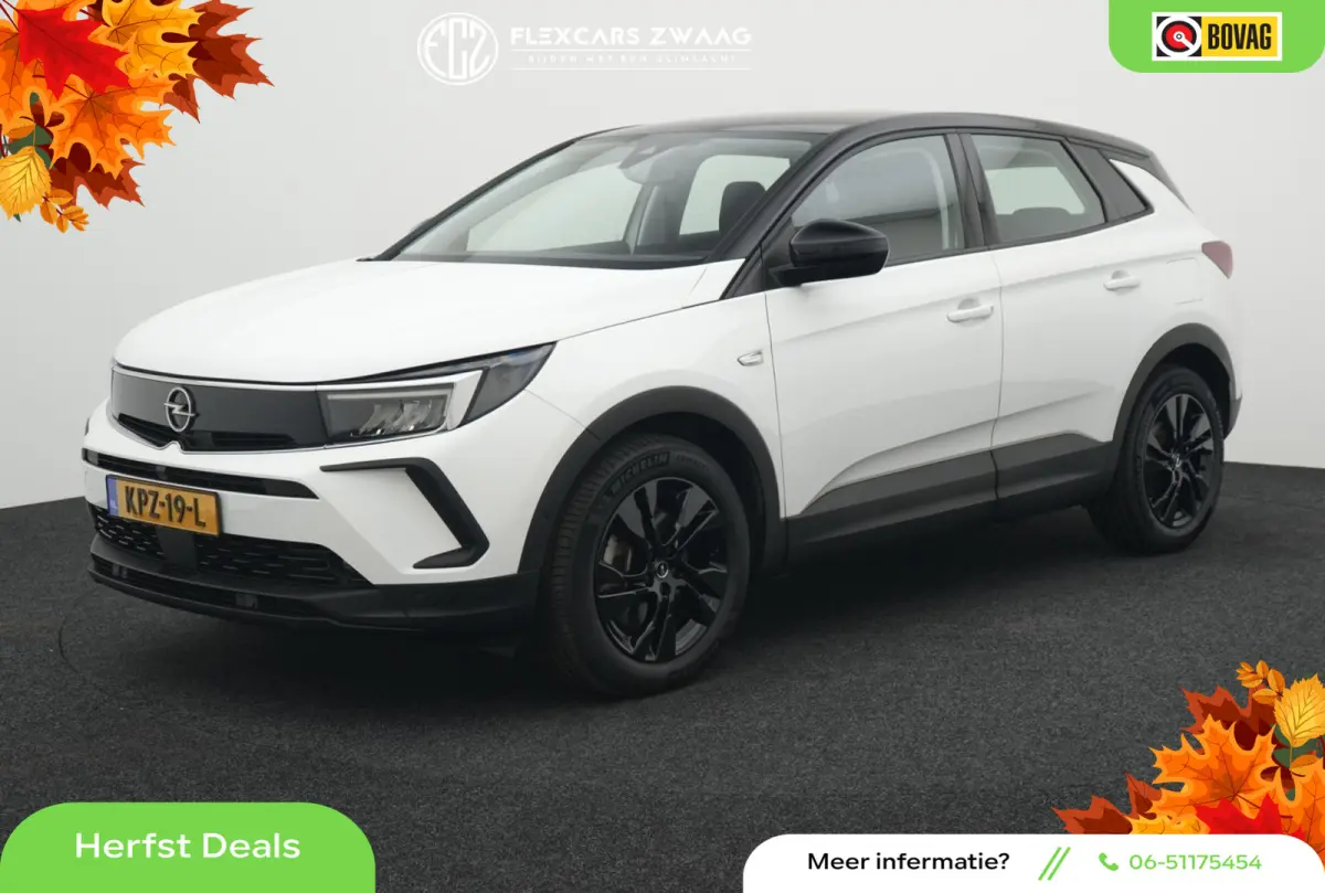 1.6 Turbo Plug-In Hybrid Business Edition - Automaat - Navi - Winterpakket - Camera - Parkeerhulp