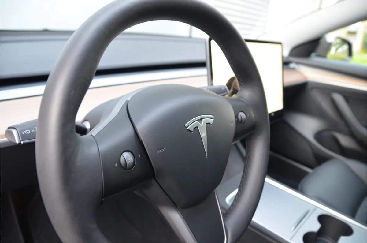 Long Range AWD 75 kWh AutoPilot3.0 Ryzen, Performance Boost, garagedeur opener!