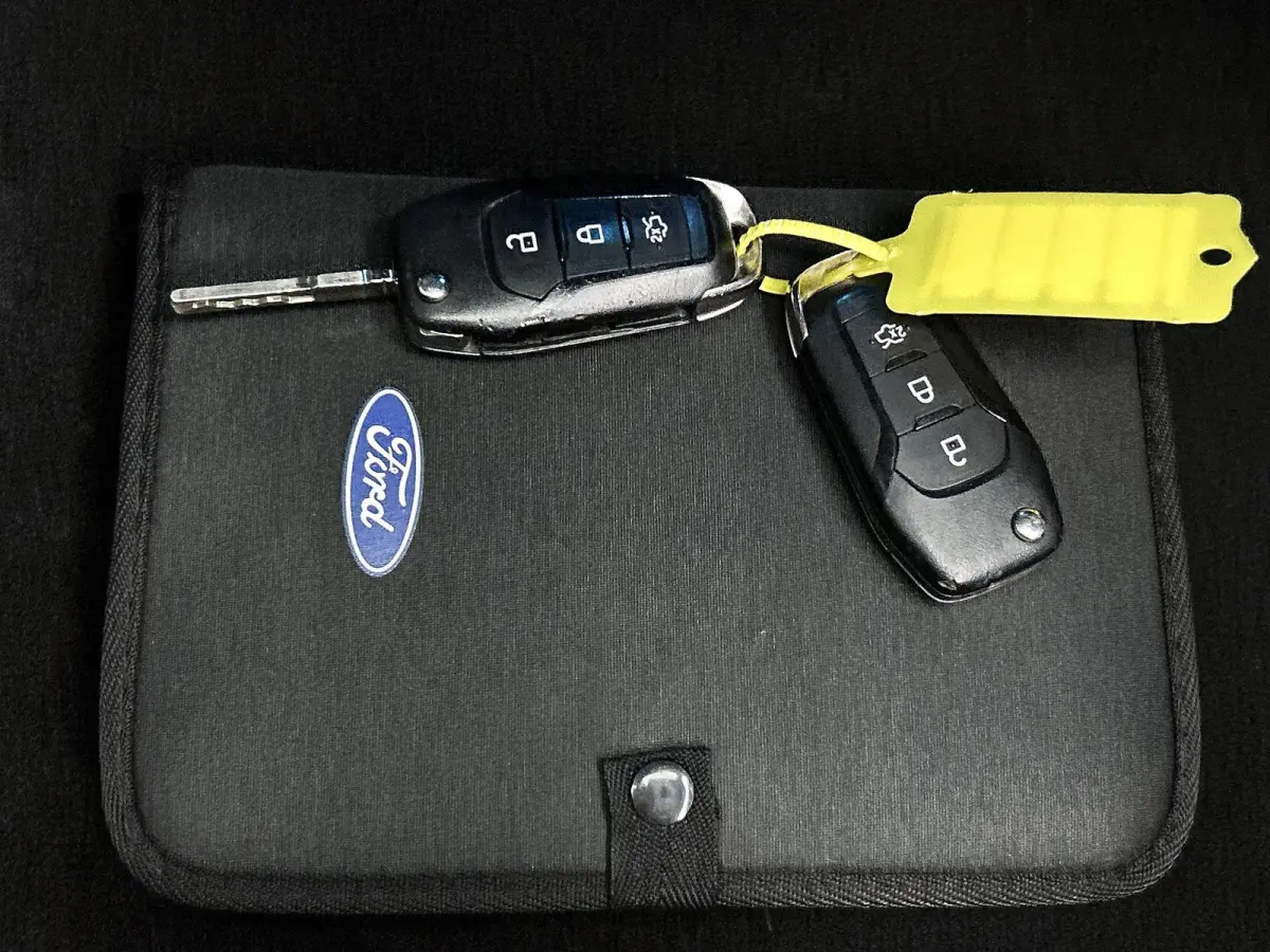 1.0 EcoBoost Titanium | Trekhaak | Parkeersensoren | LM Velgen | Apple Carplay / Android Auto