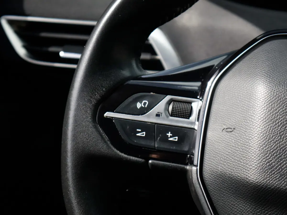 1.2 PureTech Blue Lease Active 1e-Eig. & Keurig-Onderh. BOVAG-Garantie. NL-Auto.