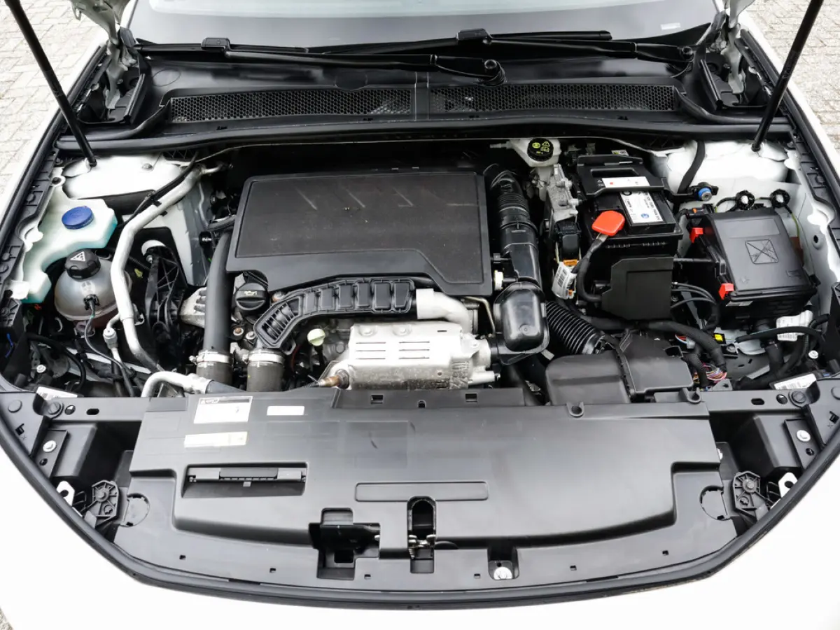 1.2 PureTech Active Pack Business 1e-Eig. & Dealer-Onderh. BOVAG-Garantie. NL-Auto.
