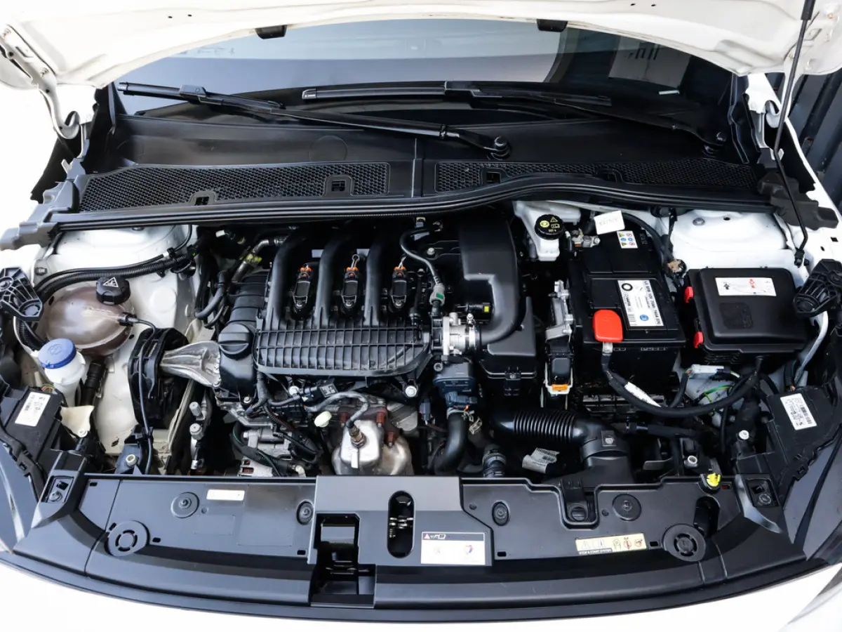 1.2 PureTech Blue Lease Active 1e-Eig. & Dealer-Onderh. BOVAG-Garantie. NL-Auto.