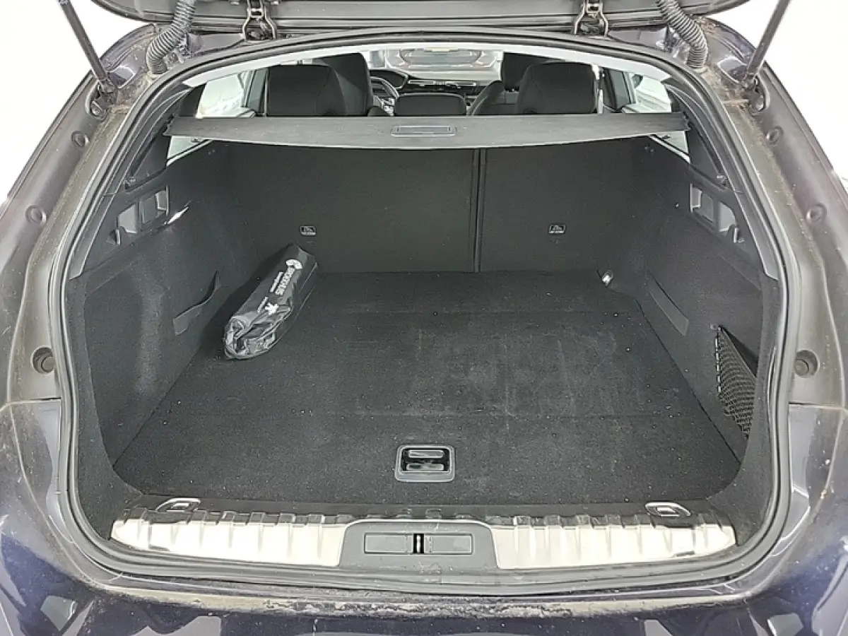 1.2 PureTech Active Pack Business 1e-Eig. & Dealer-Onderh. BOVAG-Garantie. NL-Auto.