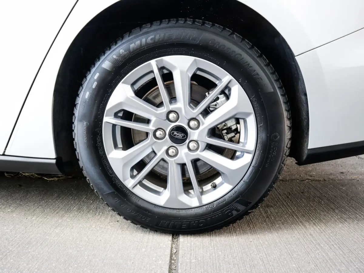 1.0 EcoBoost Hybrid Titanium 1e-Eig. & Keurig-Onderh. BOVAG-Garantie. NL-Auto.