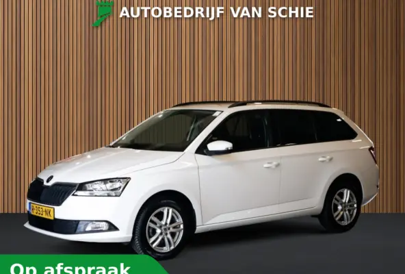 1.0 TSI Ambition 1e-Eig. & Keurig-Onderh. BOVAG-Garantie. NL-Auto.