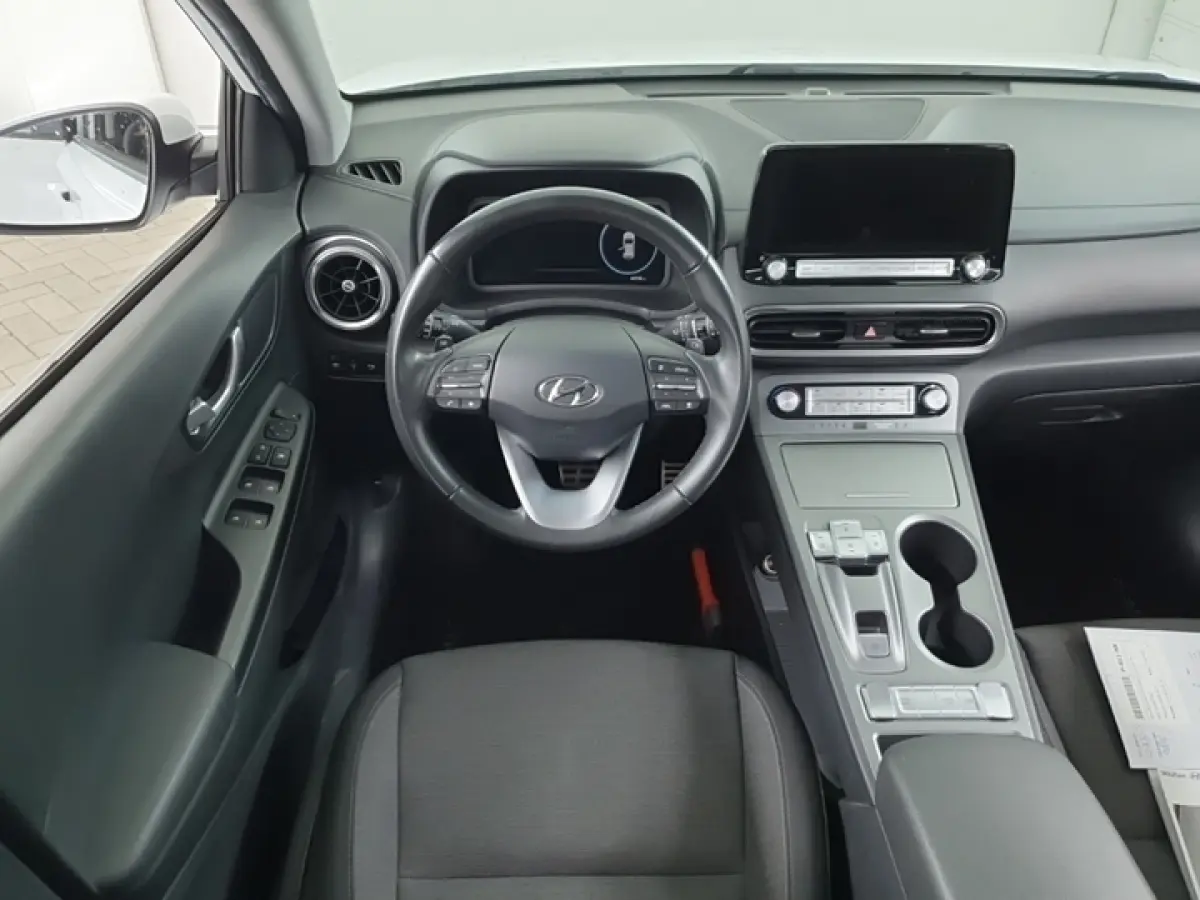 EV Comfort 64 kWh 3-Fase 1e-Eig. & Dealer-Onderh. BOVAG-Garantie. NL-Auto.
