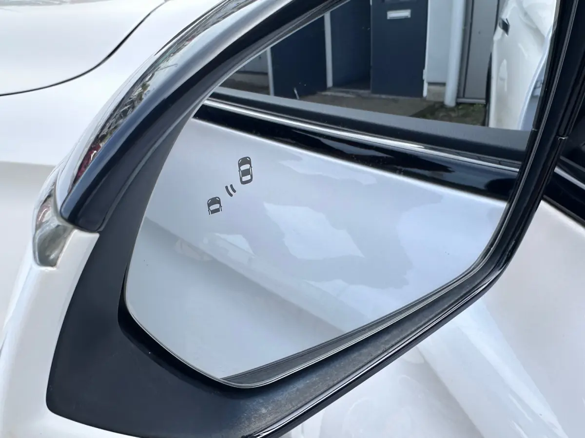 Exclusive 70 kWh SOH 94.22% PANO BOSE TREKHAAK LEER CAMERA DEALER OND EERSTE EIG