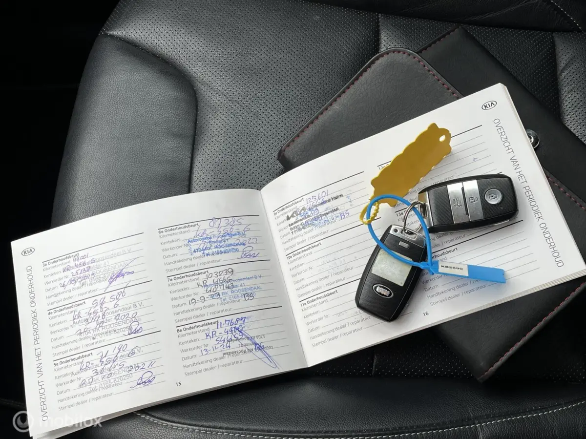 1.6 GDi Hybrid Aut. Exe, Haak, leder, 1ste eig, Vol