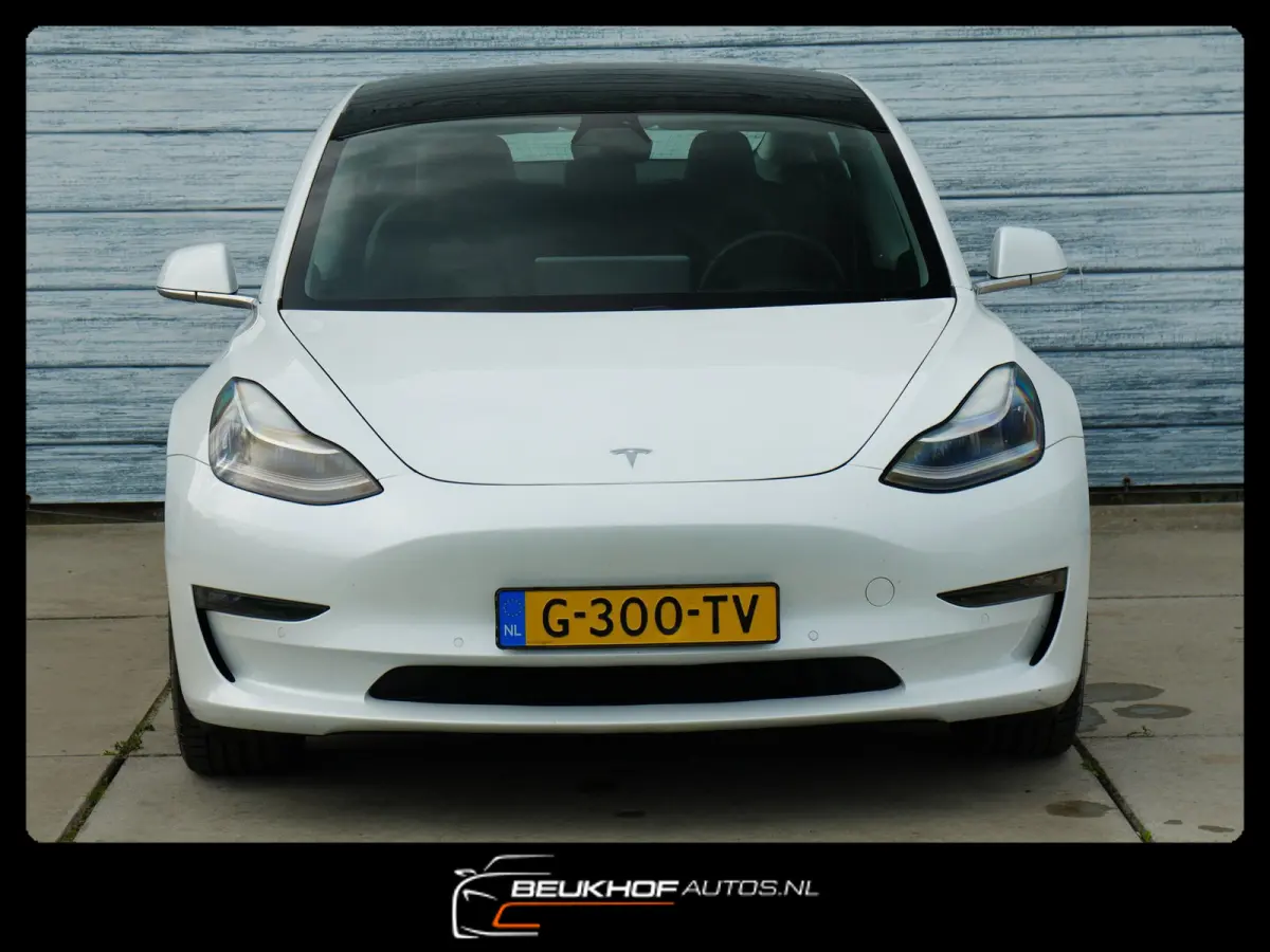 Long Range AWD 75 kWh Leer / FSD / SOH 91.4%