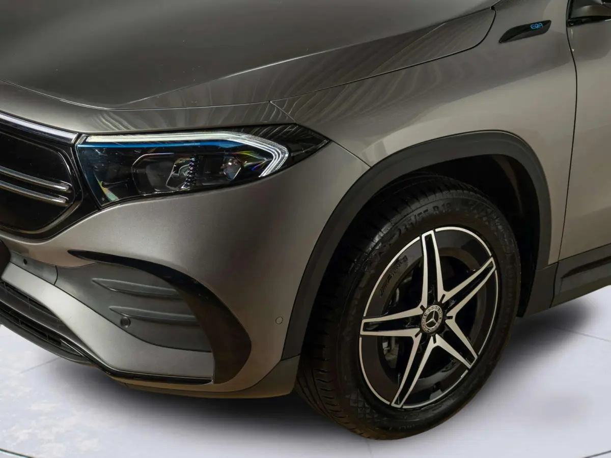 250 Business Solution AMG 67 kWh | Panorama dak | Trekhaak