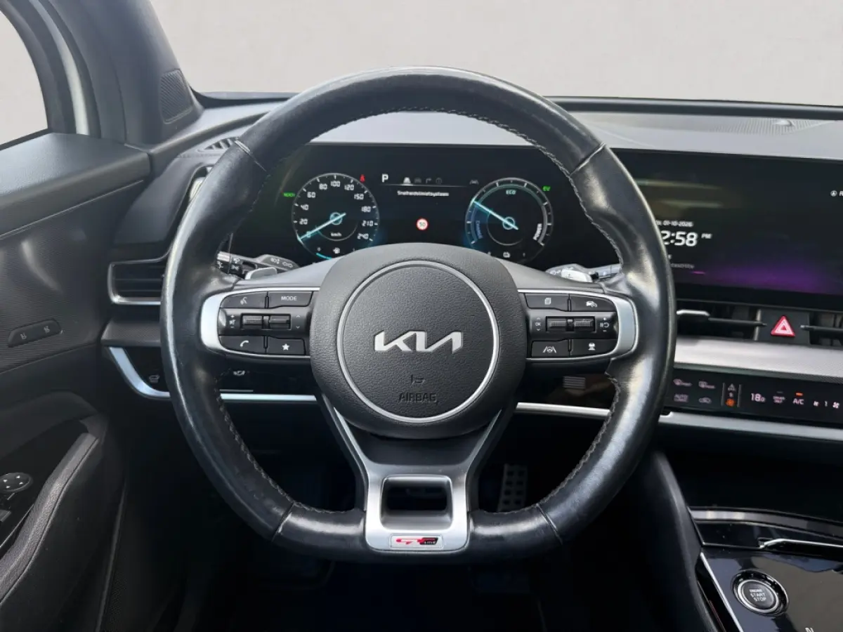 1.6 T Hybrid GT-PlusLine | Panoramadak | 360° camera | Leder