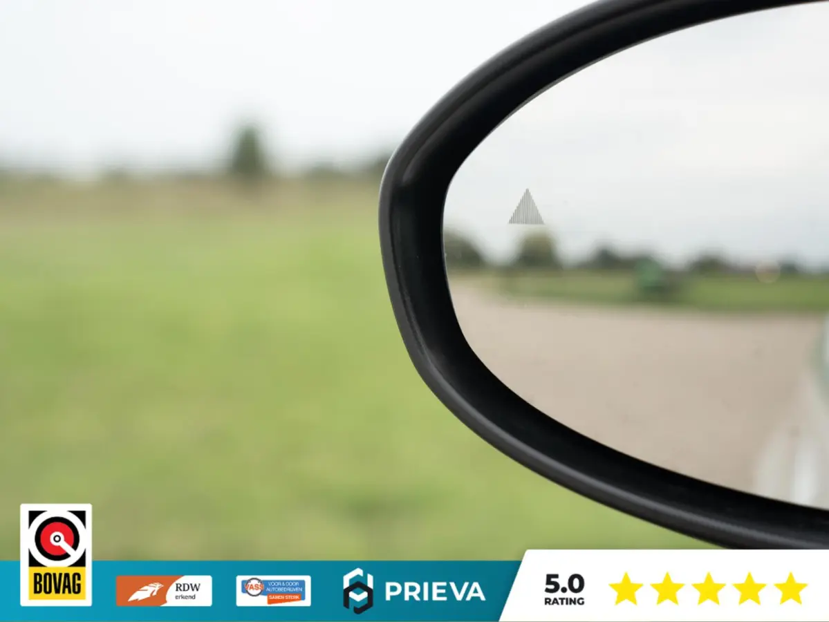 42 kWh |SOH 95,6% |118 PK | CarPlay | Navigatie | LED | 32.065 KM