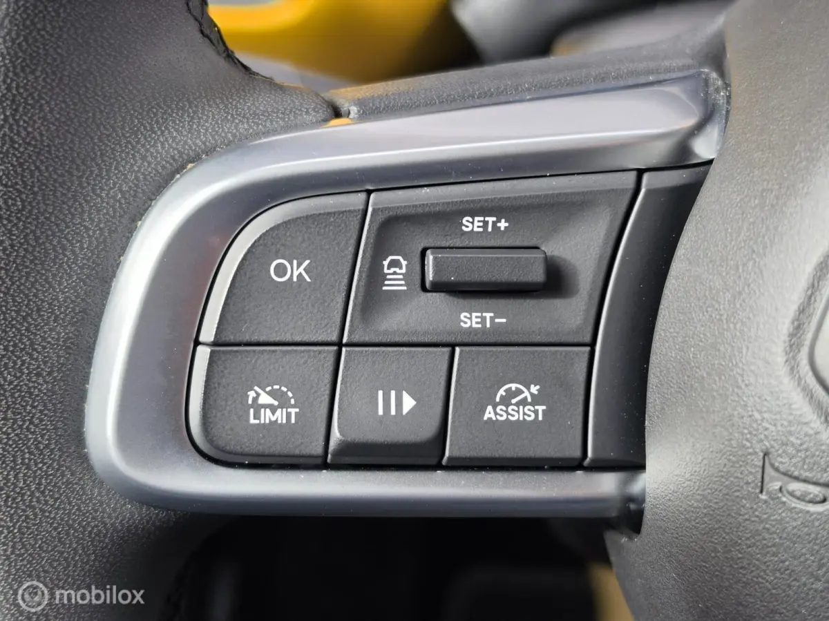 SUMMIT 54kWh ACC CAMERA KEYLESS CARPLAY STOELVERWARMING