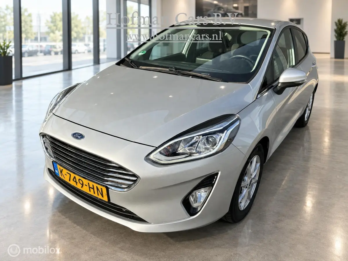1.0 EcoBoost Titanium | 01/2021 | 128.775km | Zilver Metallic