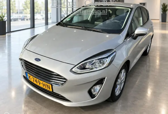 1.0 EcoBoost Titanium | 01/2021 | 128.775km | Zilver Metallic